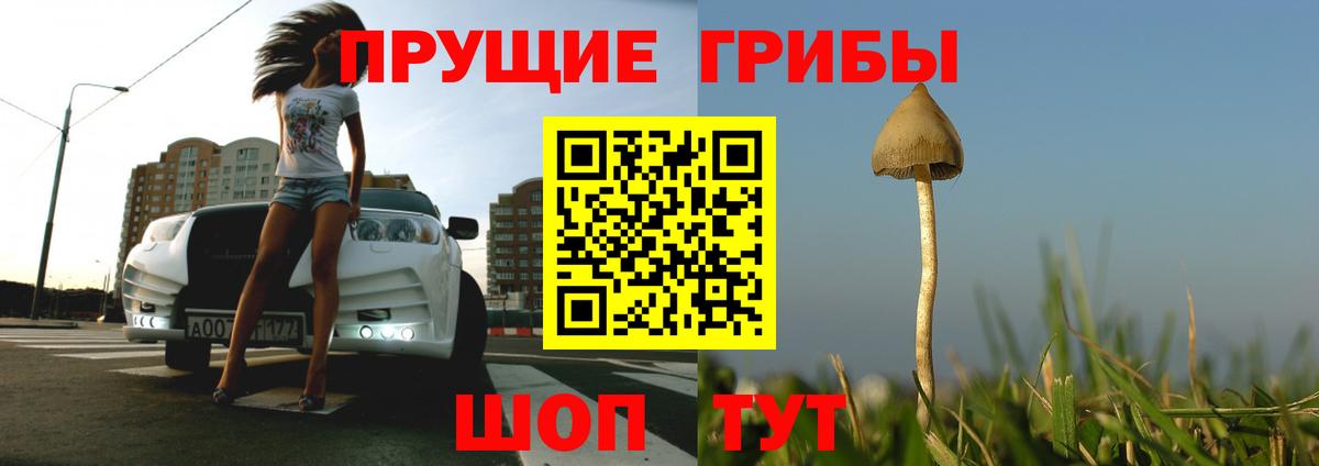 Псилоцибиновые грибы мухоморы Северобайкальск